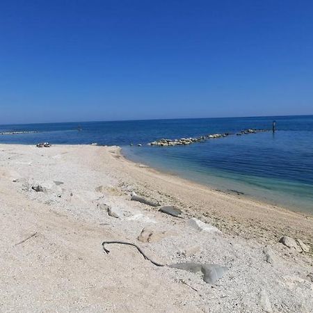 Casamarina Διαμέρισμα Marina di Montemarciano Εξωτερικό φωτογραφία